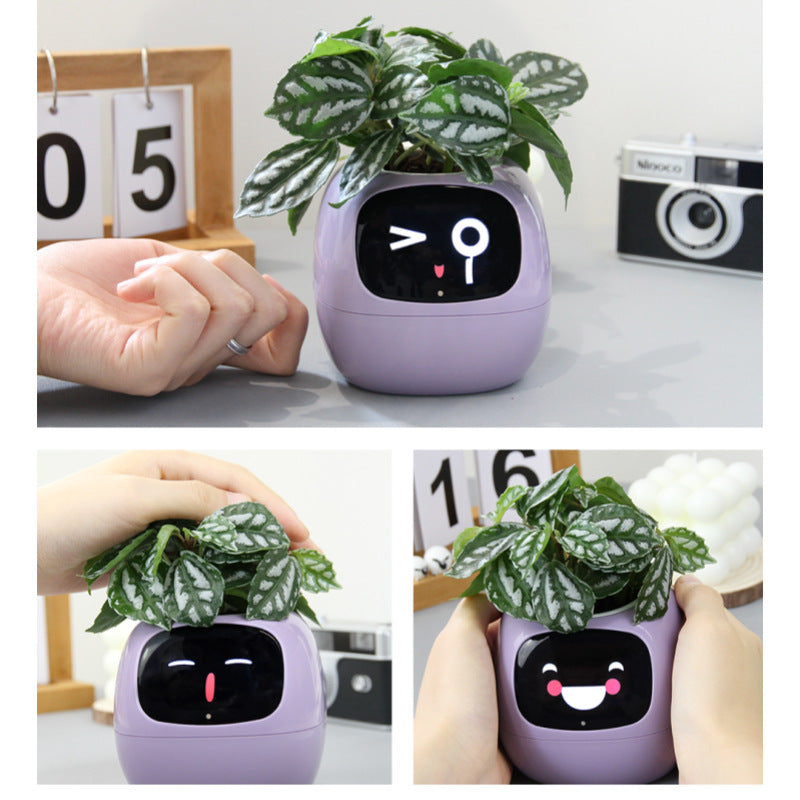 Robot Flower Pot