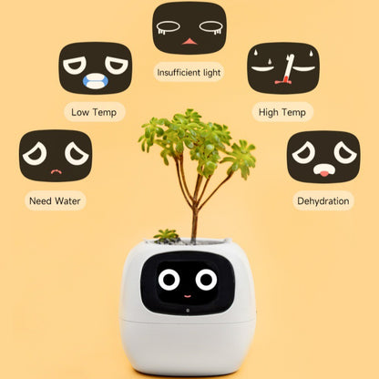 Robot Flower Pot