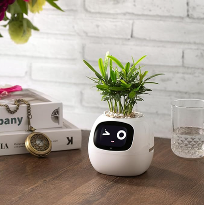 Robot Flower Pot
