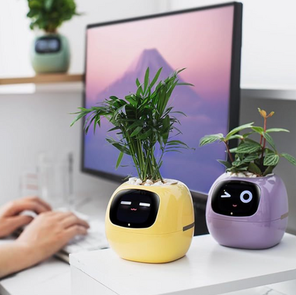 Robot Flower Pot