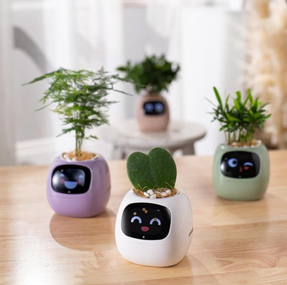 Robot Flower Pot